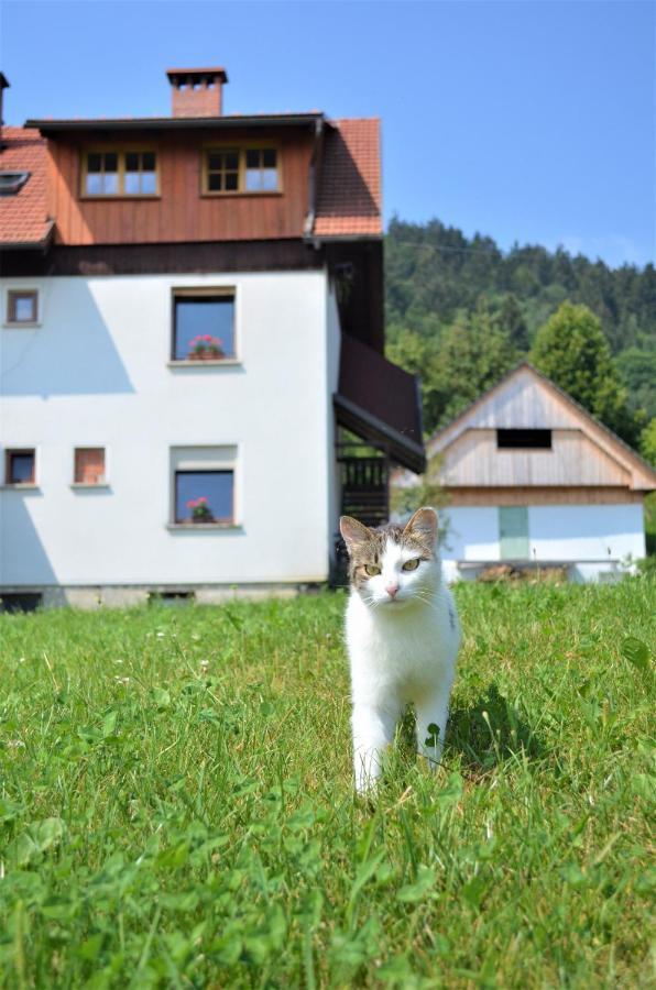 Апартаменти Healing Farm Гореня Вас Екстер'єр фото