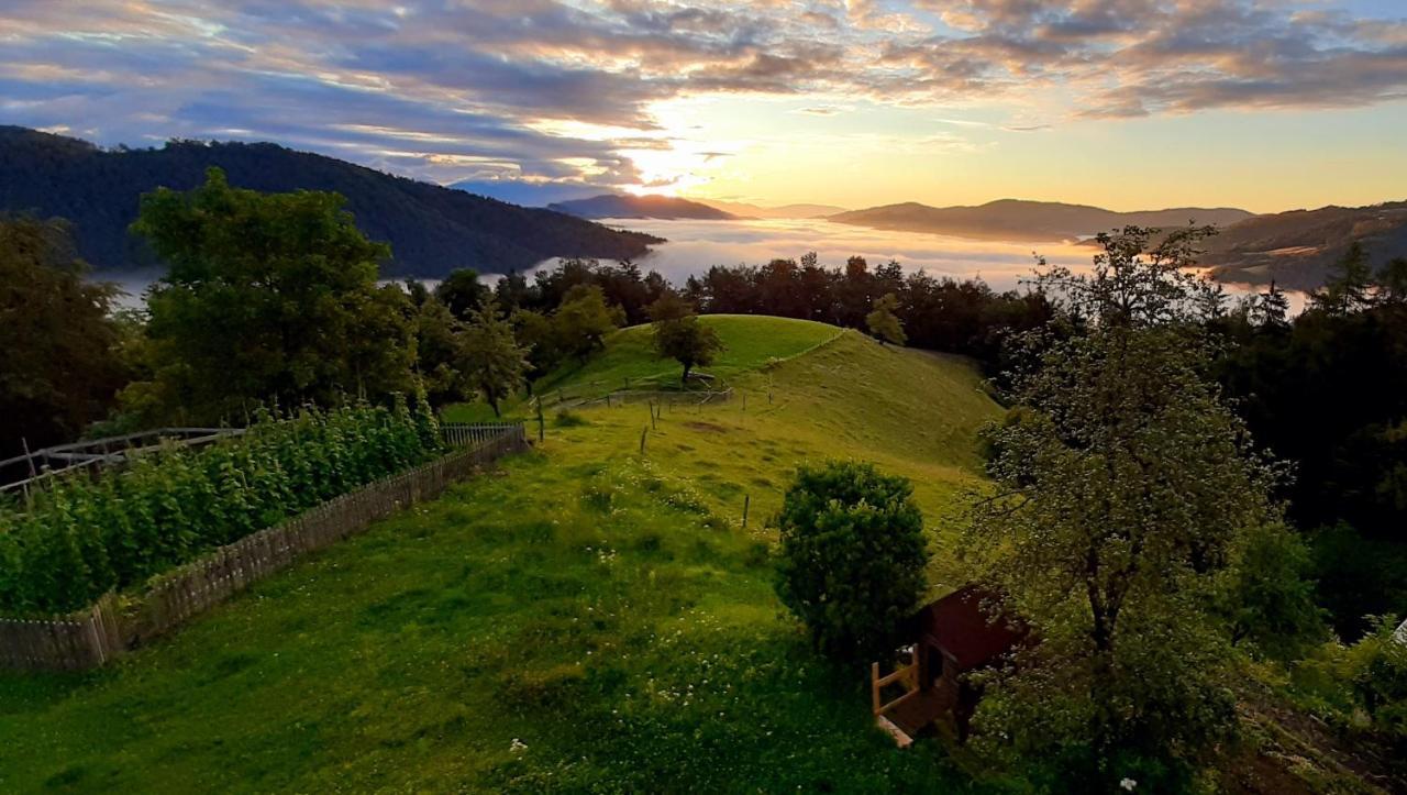 Апартаменти Healing Farm Гореня Вас Екстер'єр фото