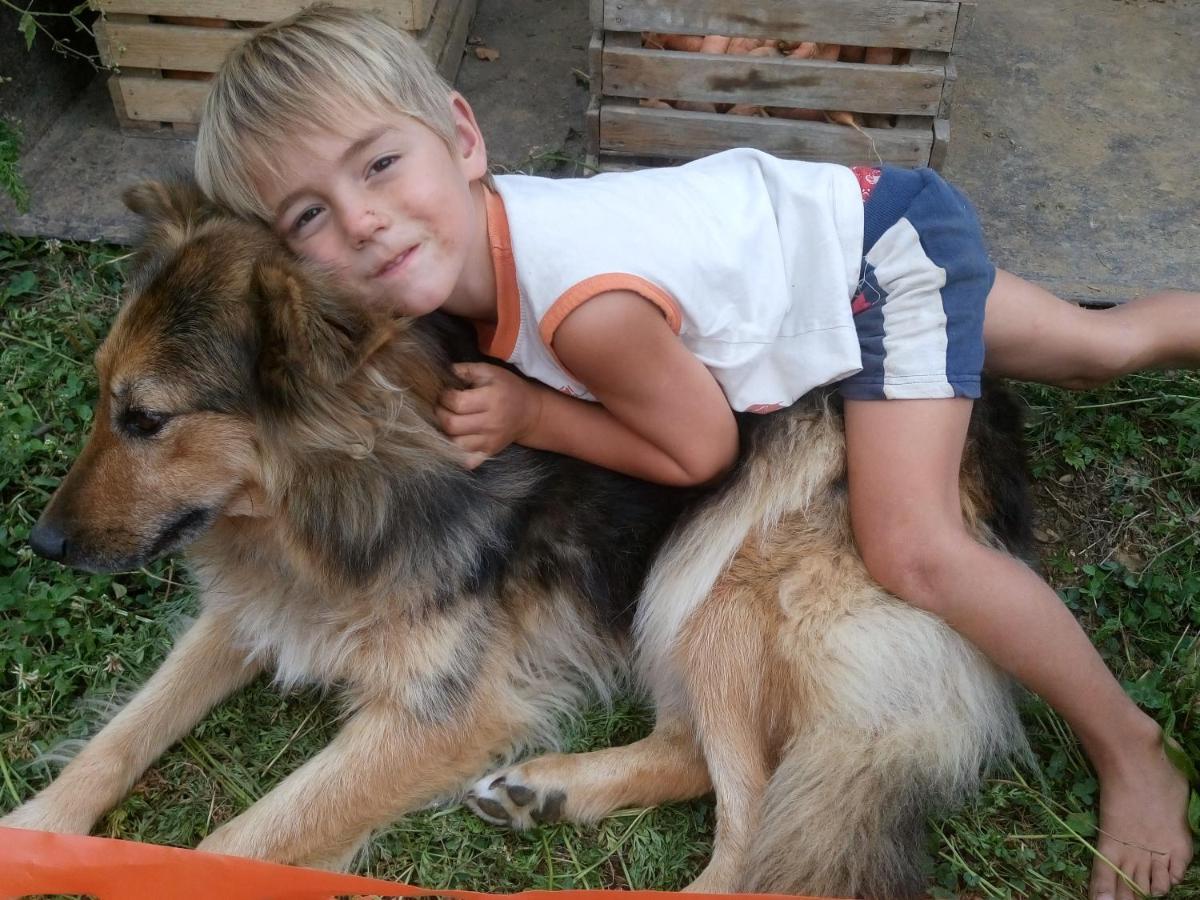 Апартаменти Healing Farm Гореня Вас Екстер'єр фото